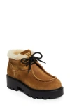 Miu Miu Suede Shearling Lace-up Chukka Booties In Cannella