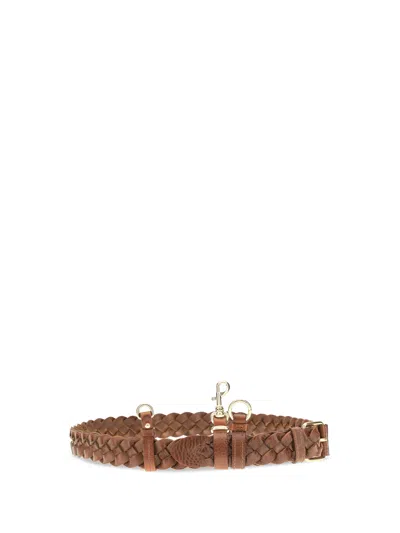 Miu Miu Braided Calf Leather Belt In Brown