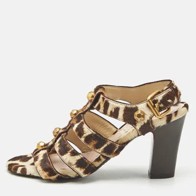 Pre-owned Miu Miu Brown/beige Calf Hair Studded Strappy Sandals Size 35.5