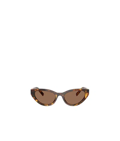 Miu Miu Butterfly Frame Sunglasses In Brown