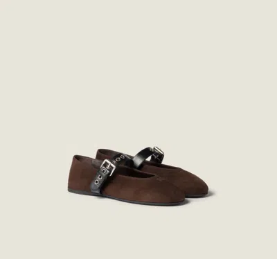 Miu Miu Ballerine Camoscio In Brown