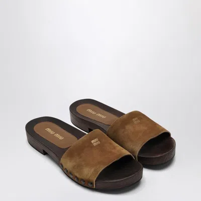 Miu Miu Cinnamon Coloured Suede Clogs With Logo Women In Brown