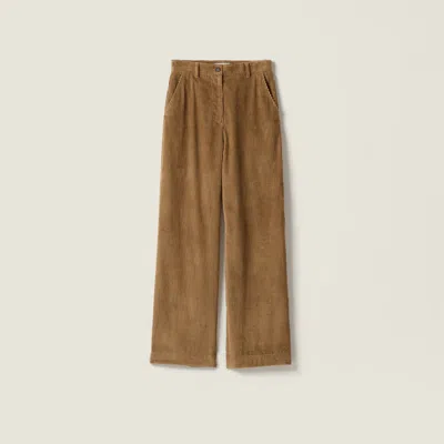 Miu Miu Corduroy Pants In Brown