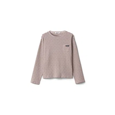 Miu Miu Cotton In Brown