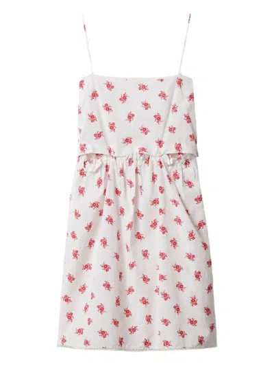 Miu Miu Floral Poppy Dress Lace Trim In White