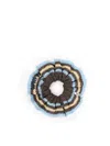Miu Miu Textured Circular Hat With Multicolor Stripes In Brown