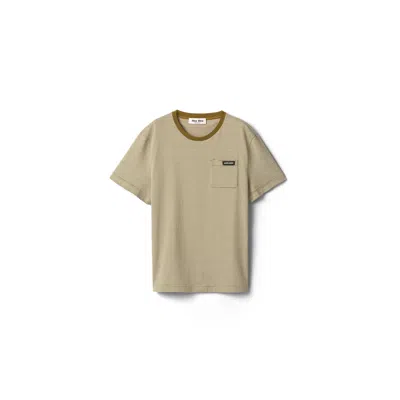 Miu Miu Cotton T-shirt In Brown