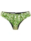 Miu Miu Embroidered Beaded Silk Briefs In Green