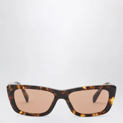 Miu Miu Eyewear Collection Honey Havana Sunglasses In Brown