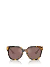 Miu Miu Womens Brown Mu 01zs Square-frame Acetate Sunglasses In Brown