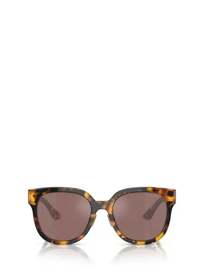 MIU MIU MIU MIU EYEWEAR SUNGLASSES