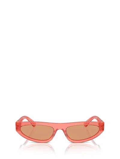 Miu Miu Orange Cat Eye Ladies Sunglasses Mu 07zs 14t07v 56