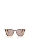 Miu Miu Eyewear Sunglasses In Brown