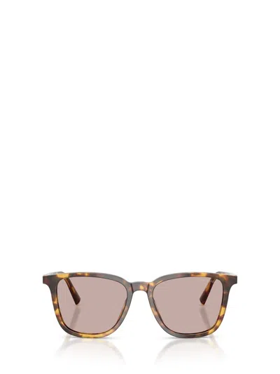 Miu Miu Eyewear Sunglasses In Brown