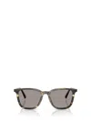 Miu Miu Eyewear Sunglasses In Brown