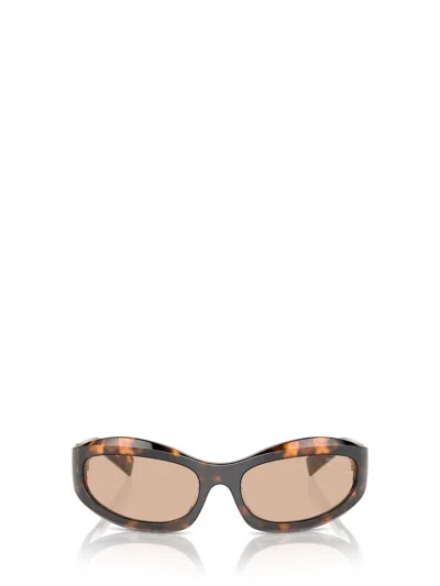 Miu Miu Woman Sunglasses Mu 14zs In Dark Brown
