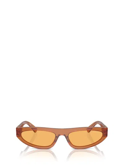 Miu Miu Eyewear Sunglasses In Caramel Trapsarent