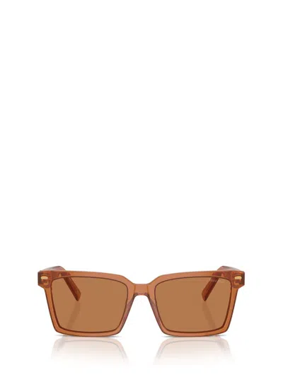 Miu Miu Acetate & Plastic Rectangle Sunglasses In Caramel Trasparent