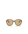 Miu Miu Full Frame Sunglasses In Brown