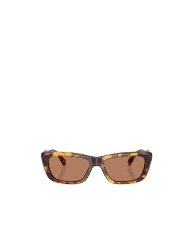 Miu Miu Full Frame Sunglasses In Brown