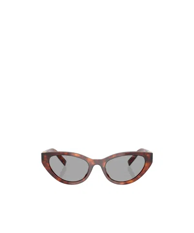 Miu Miu Full Frame Sunglasses In Havana/grigio