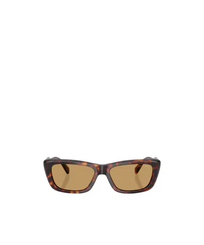 Miu Miu Full-rim Sunglasses In Brown