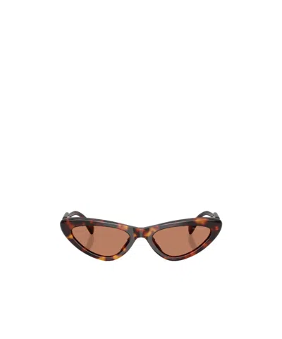 Miu Miu Full-rim Sunglasses In Burgundy