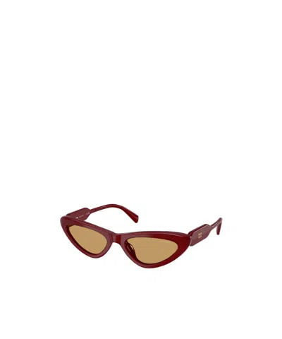 Miu Miu Full-rim Sunglasses In Brown