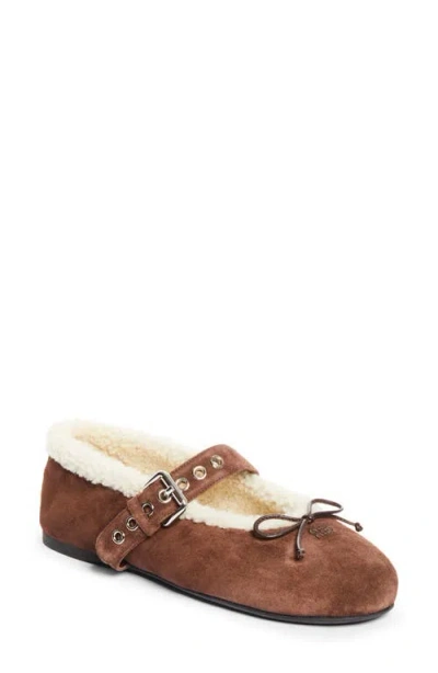 Miu Miu Genuine Shearling Lined Ballet Flat In Brown