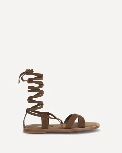 Miu Miu Gladiator Leather Sandals In Brown