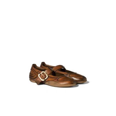 Miu Miu Gymnasium Leather Ballerinas With Strap And Buckle In Brown