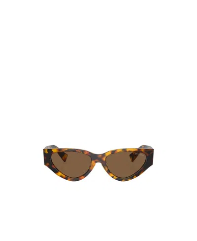 Miu Miu Havana Cat-eye Frame Sunglasses In Brown