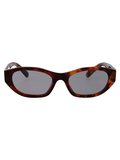 Miu Miu Havana Mahogany Acetate Sunglasses In Brown