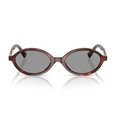 Miu Miu Havana Mahogany Miu Regard 0mu 04zs Acetate Oval Sunglasses In Gray