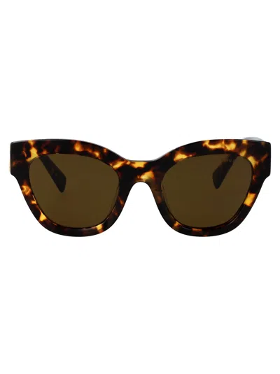 Miu Miu Havana Miele Acetate Sunglasses In Brown