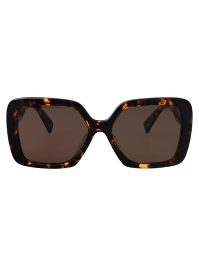 Miu Miu Havana Miele Acetate Sunglasses