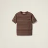 Miu Miu Striped T-shirt In Cocoa Brown/white