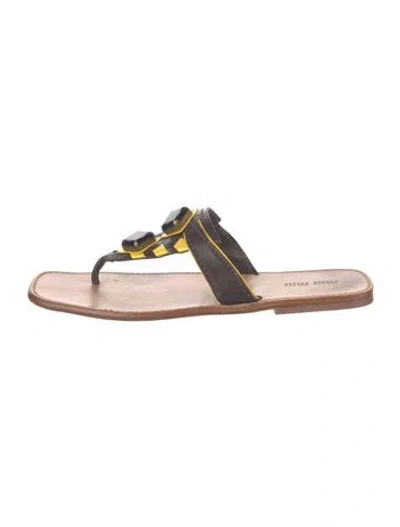 Pre-owned Miu Miu Leather Flip Flops In Multicolor