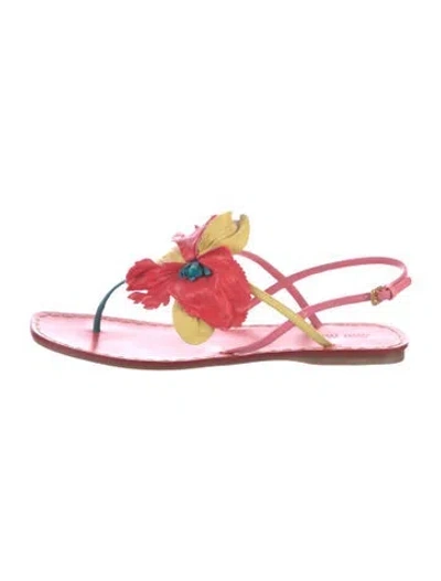Pre-owned Miu Miu Leather Ruffle Embellishment Sandals In Pink
