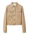 Miu Miu Logo-embroidered Chino Cropped Jacket In Rope Ash