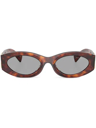 Miu Miu Mahogany Havana Acetate Sunglasses In Burgundy