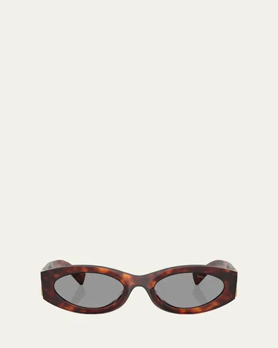 Miu Miu Mahogany Havana Acetate Sunglasses In Burgundy