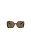 Miu Miu Logo Acetate Square Sunglasses In Brown
