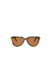 Miu Miu Women's Miu Mu 12zs Vau01t Sunglasses In Brown
