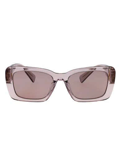Miu Miu Malva Trasparente Acetate Sunglasses In Neutral