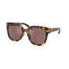 Miu Miu Womens Brown Mu 01zs Square-frame Acetate Sunglasses In Brown