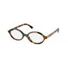 Miu Miu Havana Miele Acetate Glasses In Multi