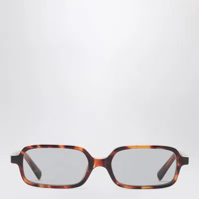 Miu Miu Miu Regard Havana Sunglasses Women In Brown
