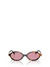 Miu Miu Regard Tortoiseshell-effect Sunglasses In Honey Havana