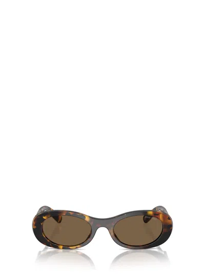 Miu Miu Mu 06zs Havana Sunglasses In Vau06b